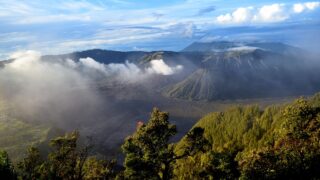 インドネシア、コーヒー豆、マンデリン、トラジャ