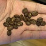 中国雲南のコーヒー豆の特徴と飲んでみた印象