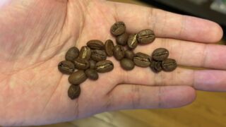 中国雲南‹プーアル›のコーヒー豆の特徴と飲んでみた感想