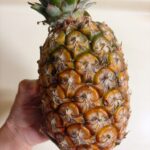 一ヶ月でも効果あり！飛蚊症改善にパイナップル生活