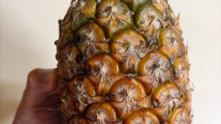 一ヶ月でも効果あり！飛蚊症改善にパイナップル生活